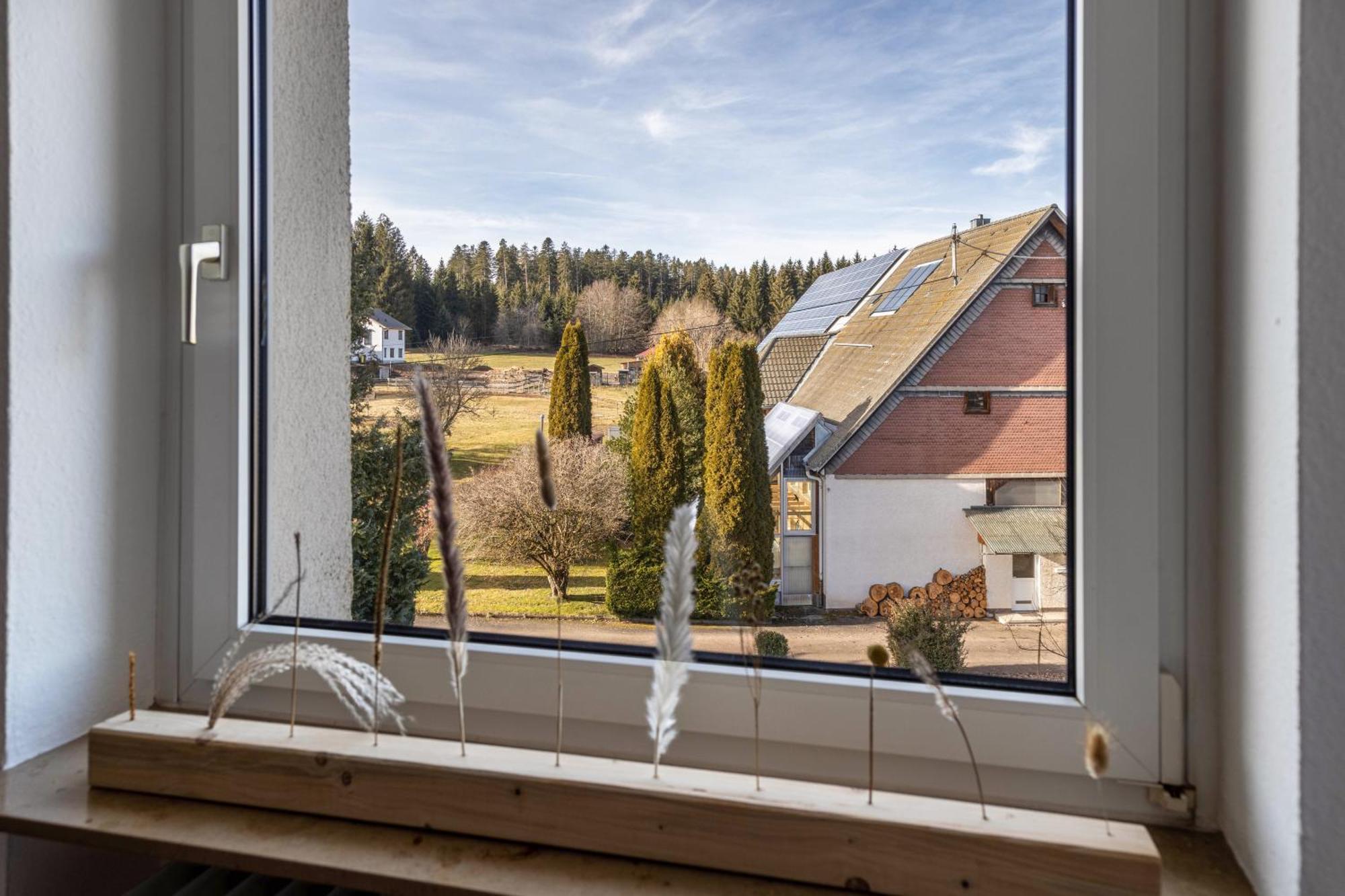 Ferienwohnung Huettennest Villingen-Schwenningen Luaran gambar